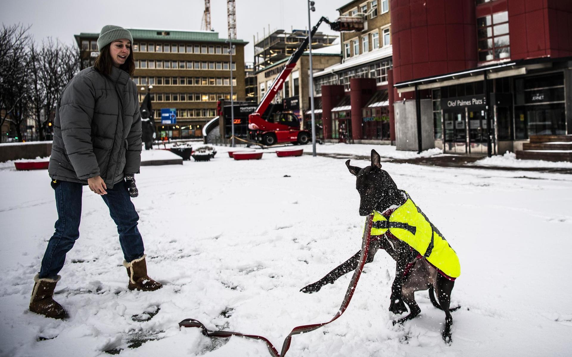 Hannah Håkansson och hunden Bonnie uppskattade snön.