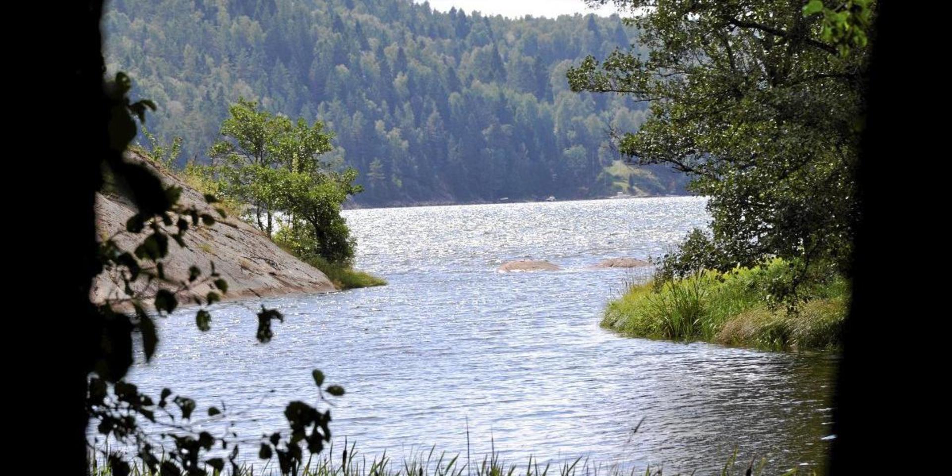 Örekilsälvens mynning möter Saltkällefjorden som är en del av Gullmarn