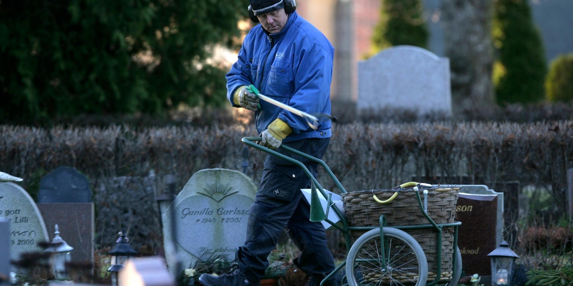 En kyrkogårdsvaktmästare samlar in utbrända ljus på en kyrkogård i Enköping.
