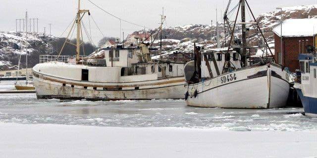 Kylan slår hårt mot yrkesfiskarna i Sotenäs som har svårt att gå ut med sina båtar.