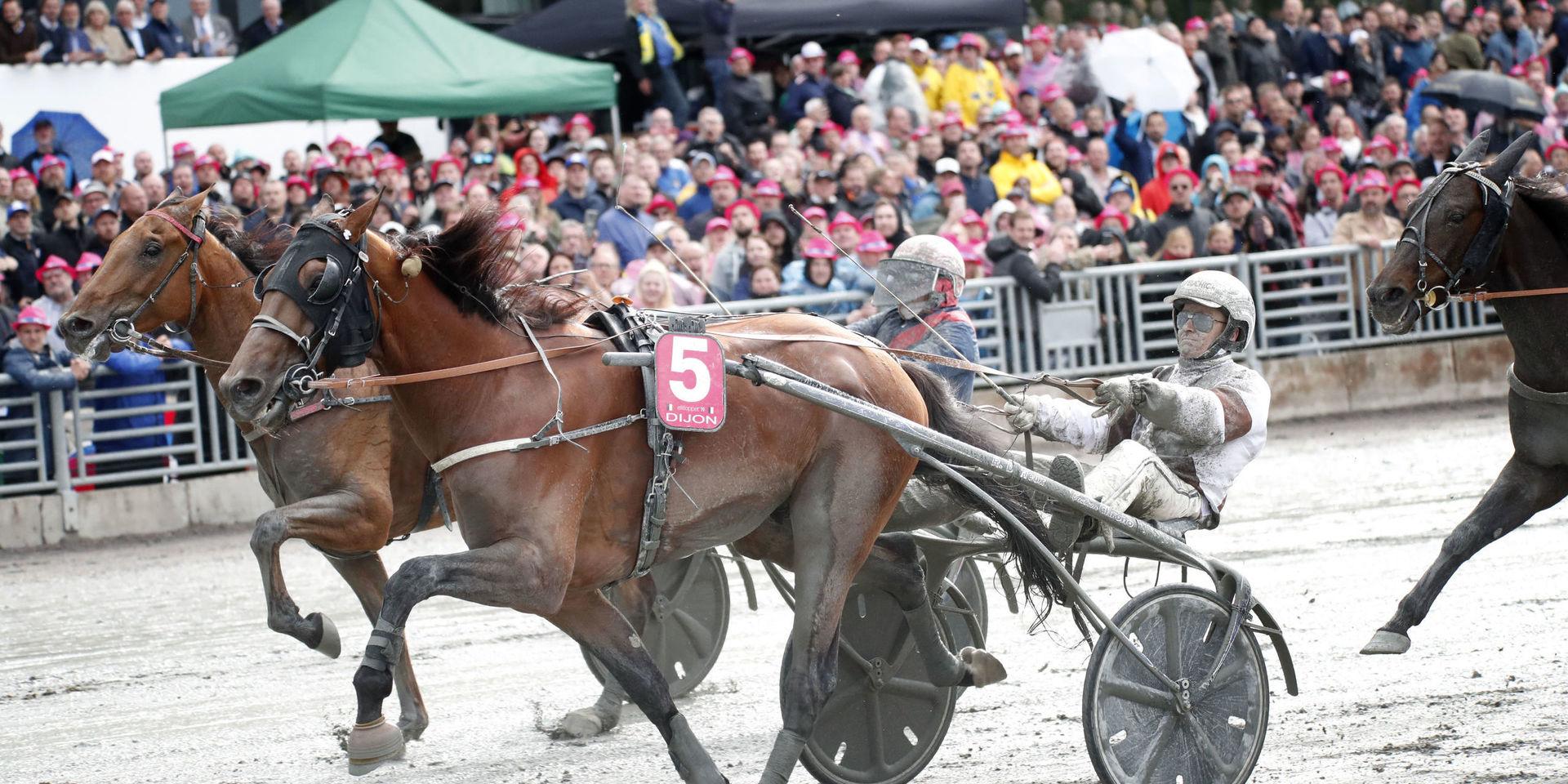 Romain Derieux och hästen Dijon vann Elitloppet i fjol.