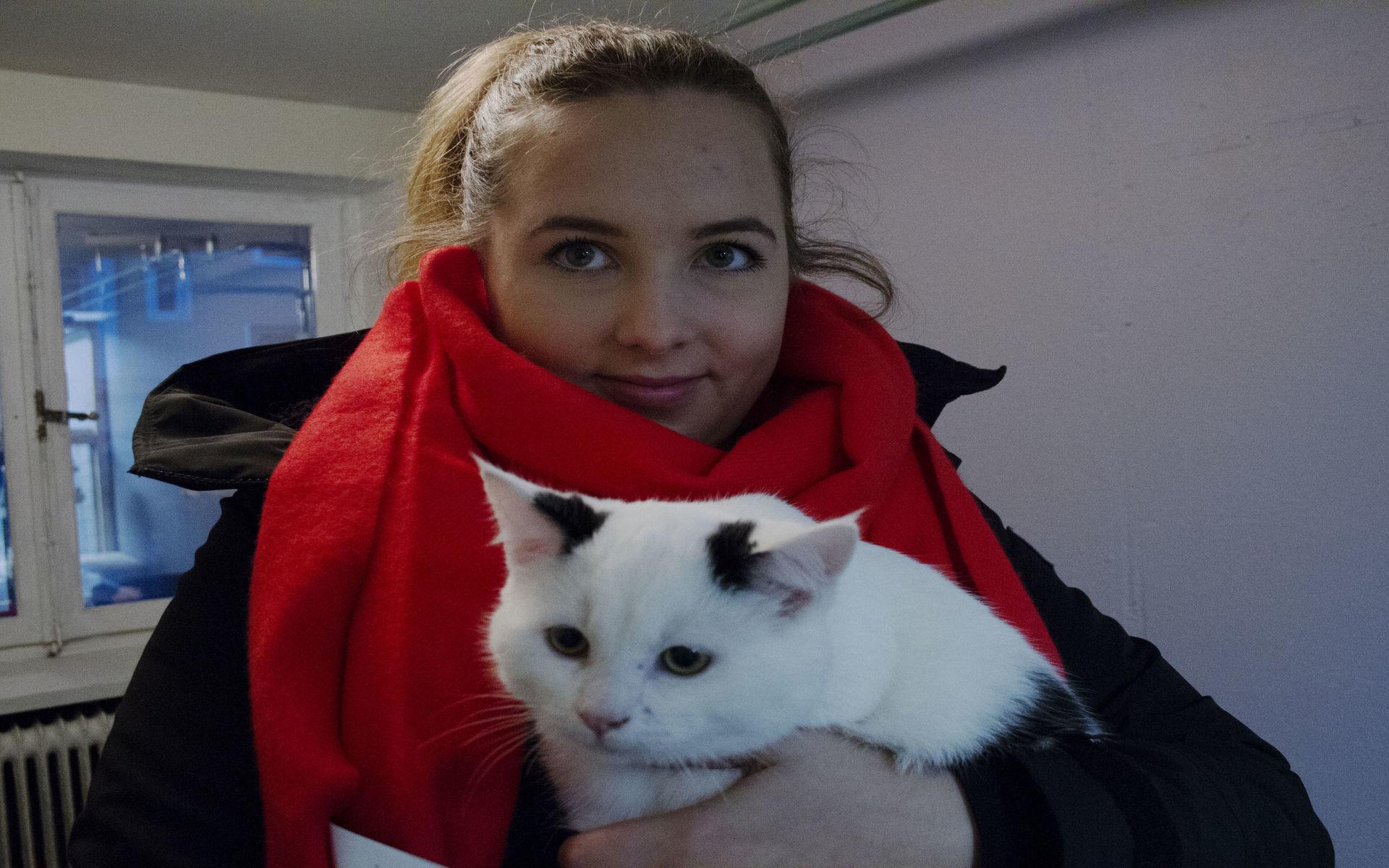 Blivande sambor? Simone Martinsson bekantar sig med katterna på djurhemmet för att eventuellt låta någon flytta hem till henne.
