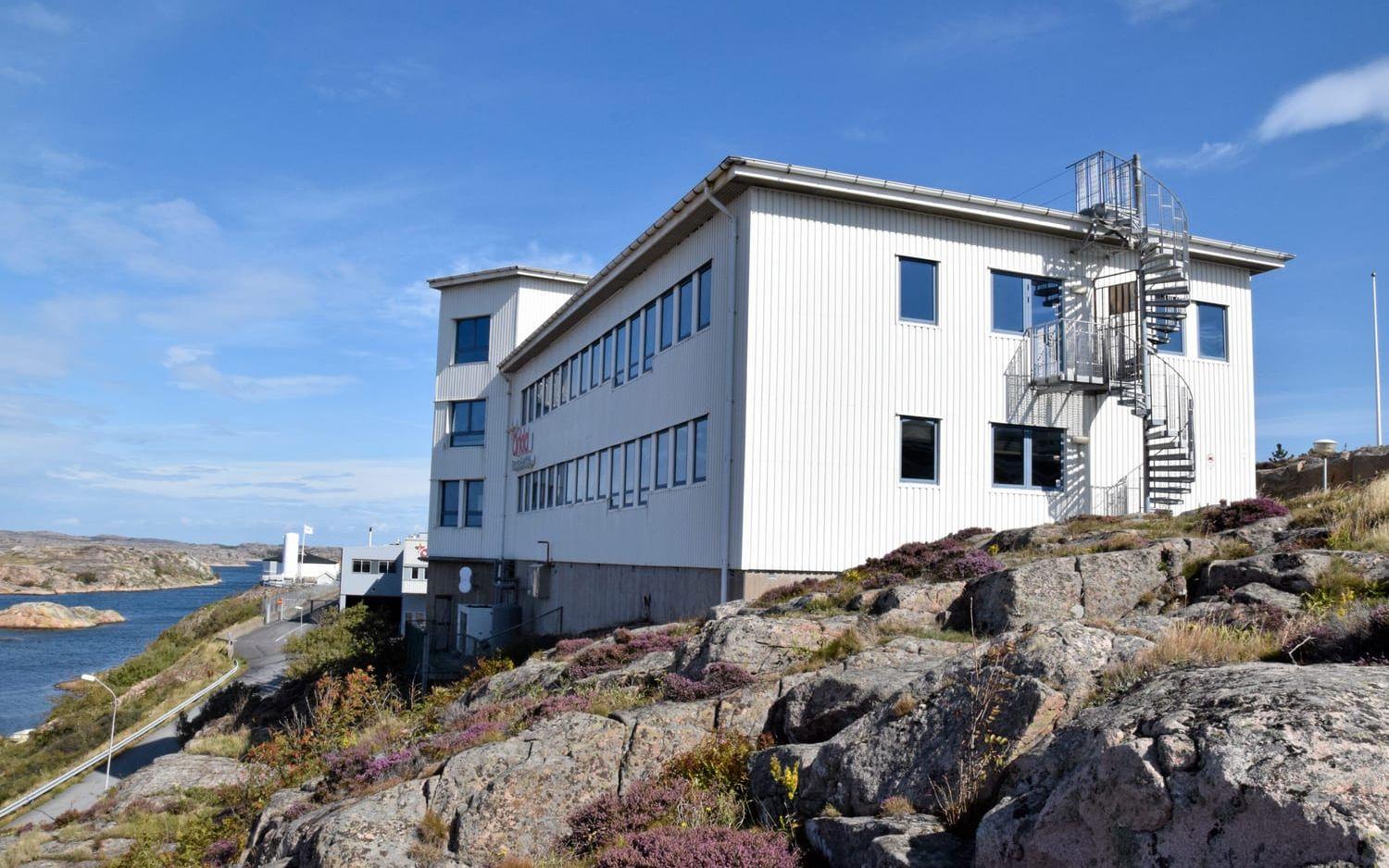 Swedish Algae Factory har en pilotanläggning i Kungshamn i Bohuslän. Bild: Stefan Karlsson