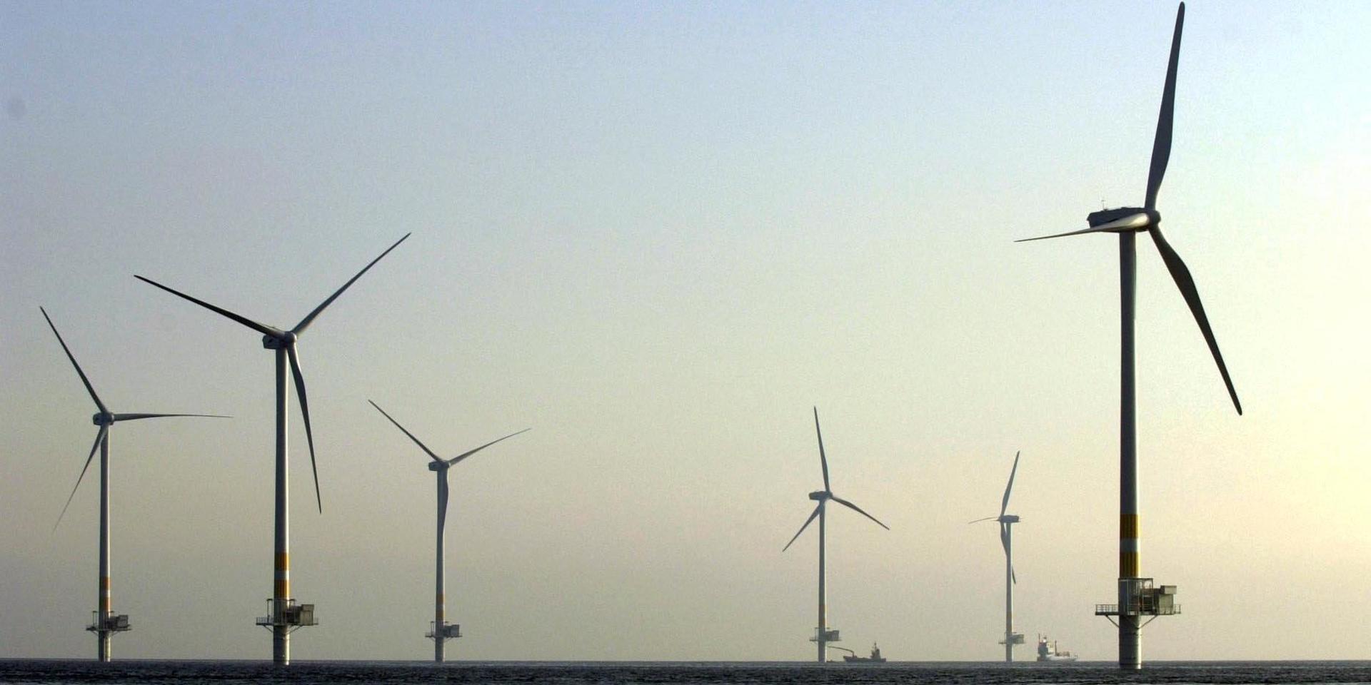 Debattörerna säger nej till planerna på nya vindkraftsparker mellan Sverige och Danmark. 