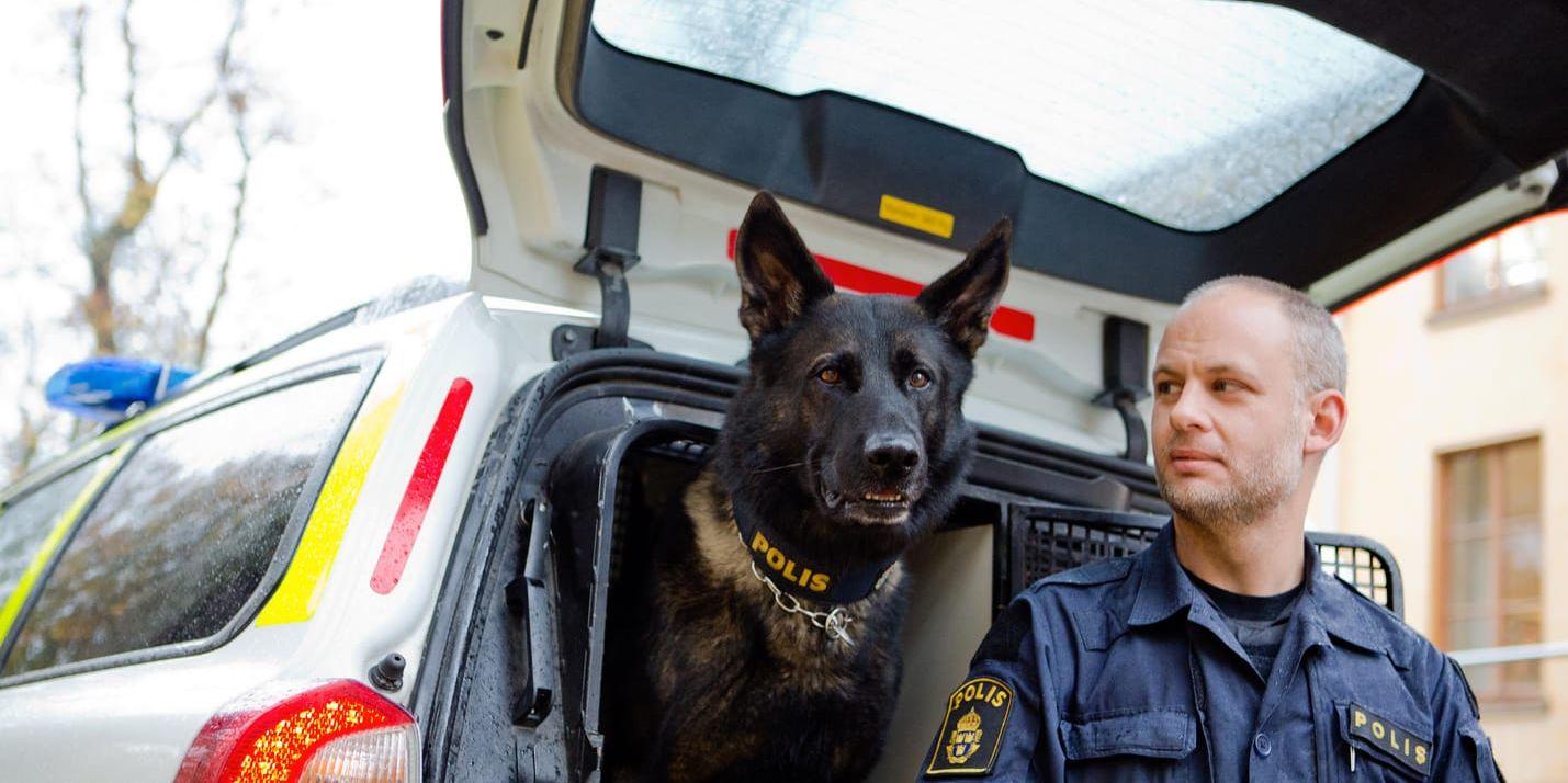 Attack, en fyraårig tysk schäferhund, har utsetts till Årets polishund 2017. Tillsammans med sin förare Tommy Eriksson tjänstgör han i lokalpolisområdet Uppsala.