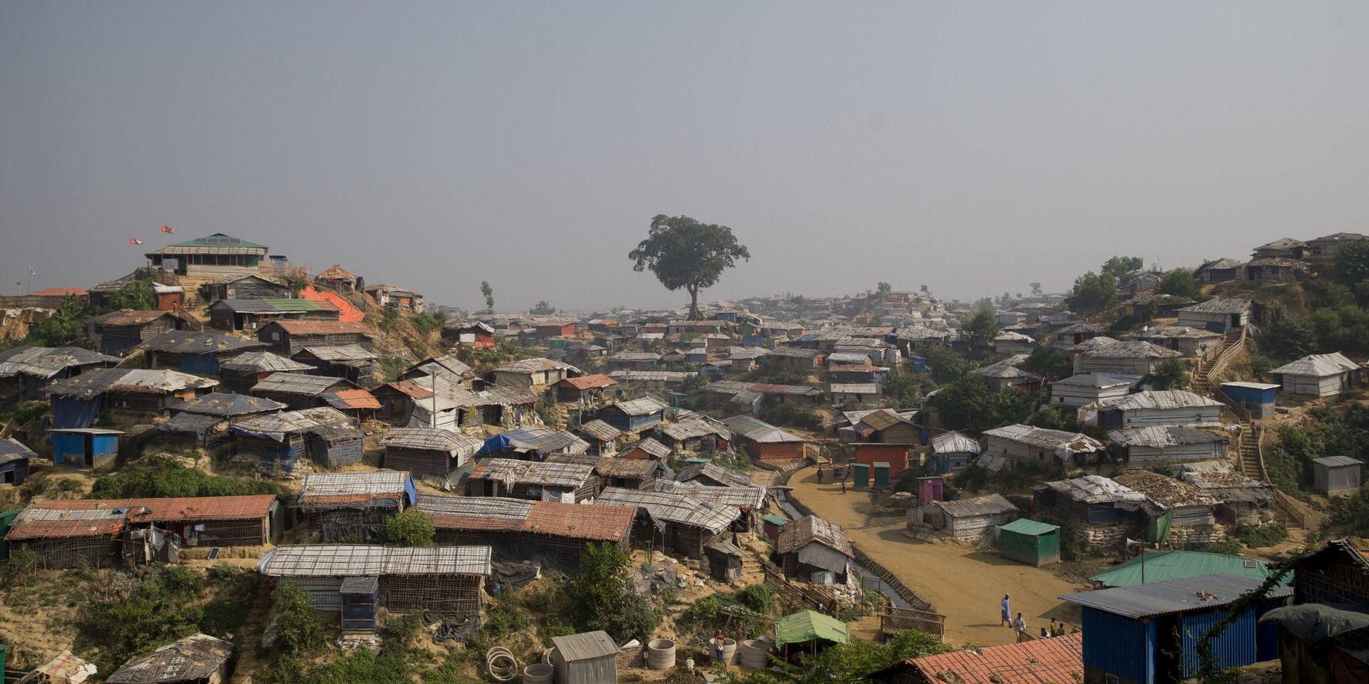 UNHCR har börjat intervjua rohingyaflyktingar i flyktinglägren i Bangladesh om hur de ställer sig till att återvända till Myanmar. Bangladesh regering vill att återflytten ska starta den 22 augusti.
