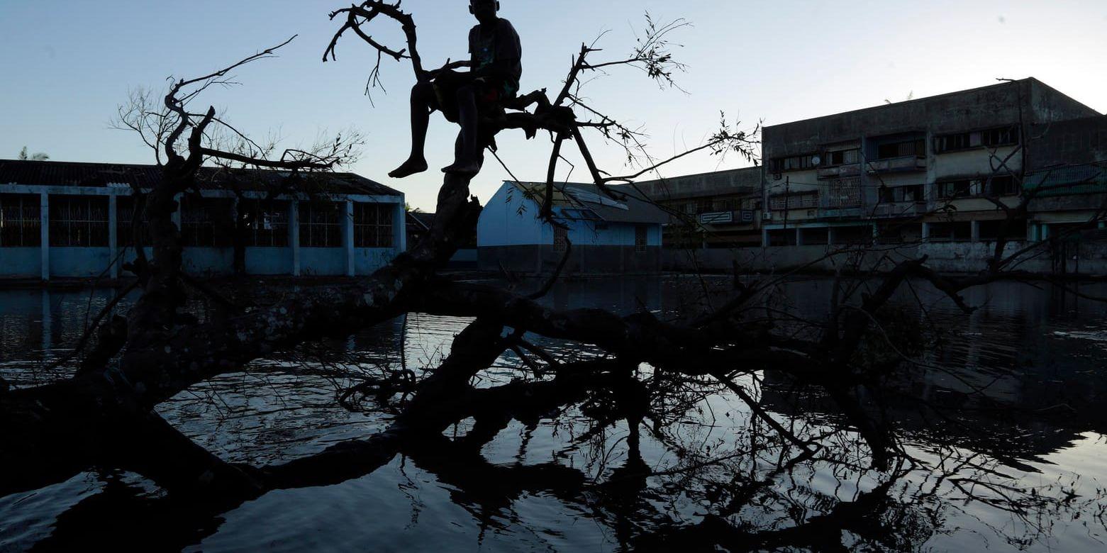En ung pojke i ett träd väntar på att bli räddad i den översvämmade, cyklondrabbade staden Beira i Moçambique.