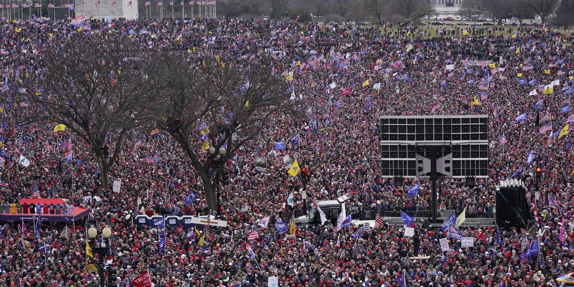 En stor folkmassa till stöd för Donald Trump i USA:s politiska hjärta i Washington DC, förra onsdagen.