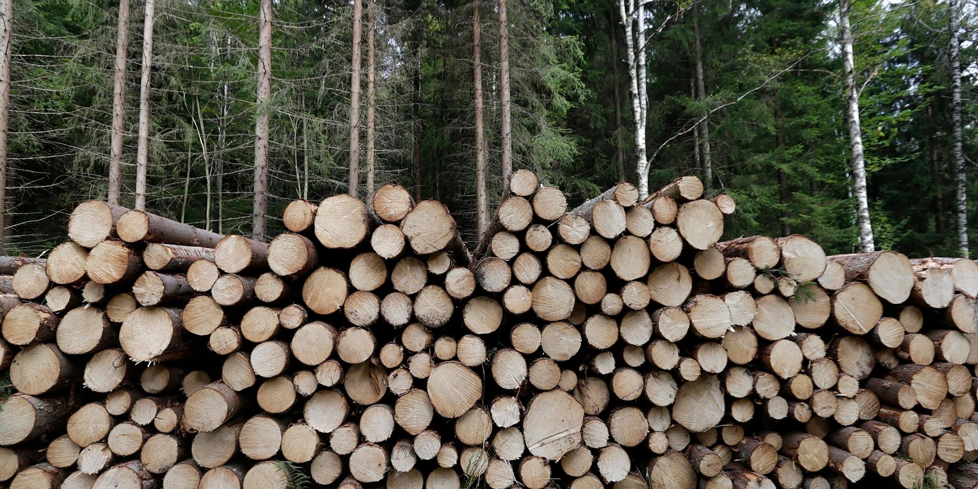 Trävirkesindustrin är också idag mycket viktig för Sverige: Under 2019 uppgick värdet av skogsindustrins export till 150 miljarder. 
