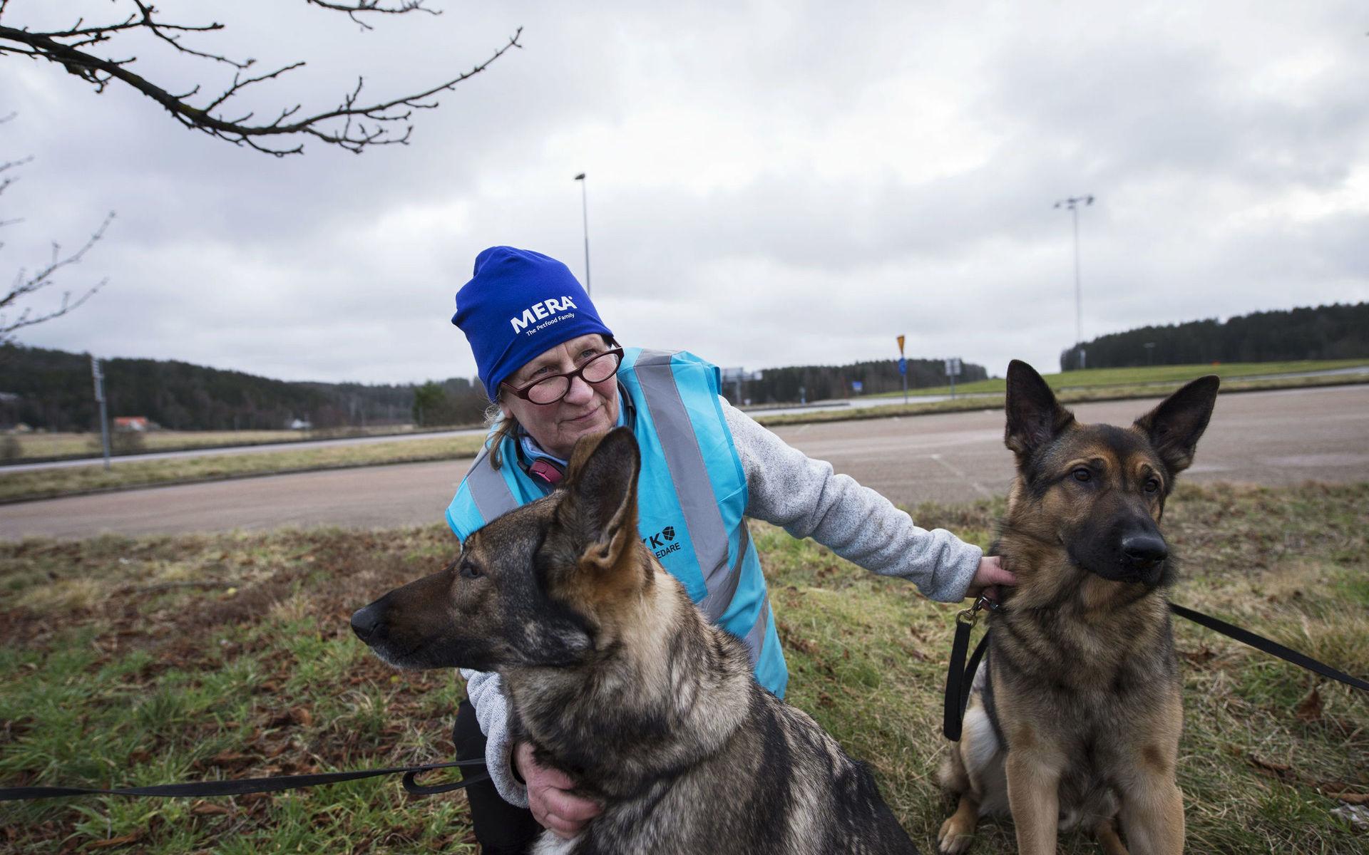 Hundföraren Tuja tillsammans med de utbildade patrullhundarna Eranthis Dilaila och Torneryds Oden.