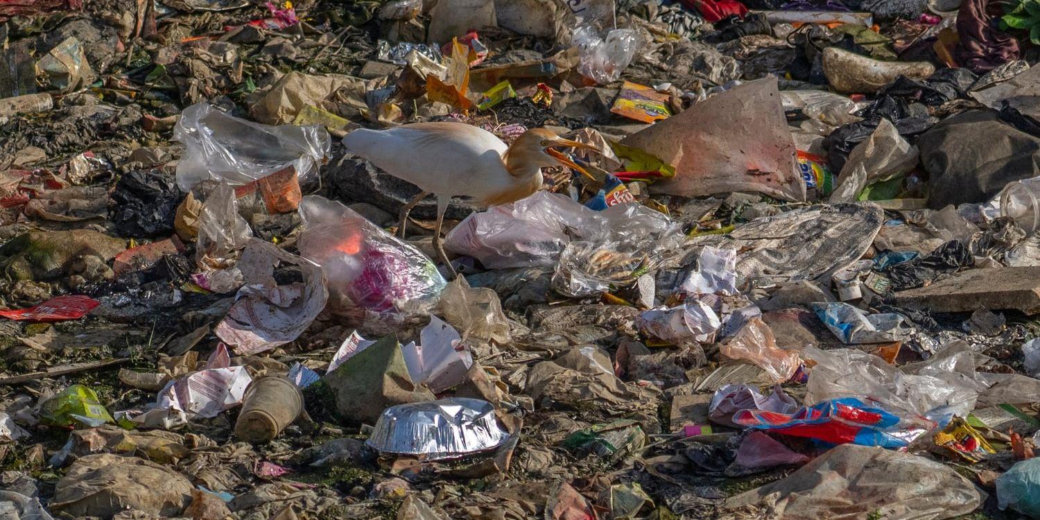 Plast är ett stort problem i världen. Arkivbild.